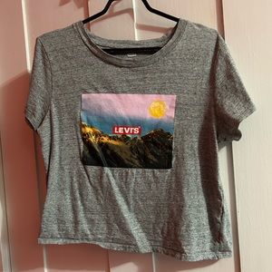 Gray Medium Levi’s Cropped Tshirt